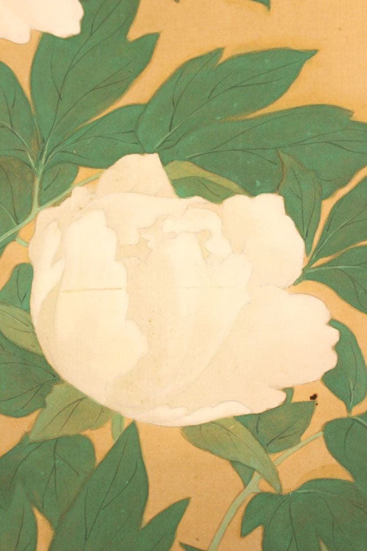 No5275 掛軸　在銘　秀芳　白牡丹図　絹本着色　合箱　花鳥　古美術　送料無料