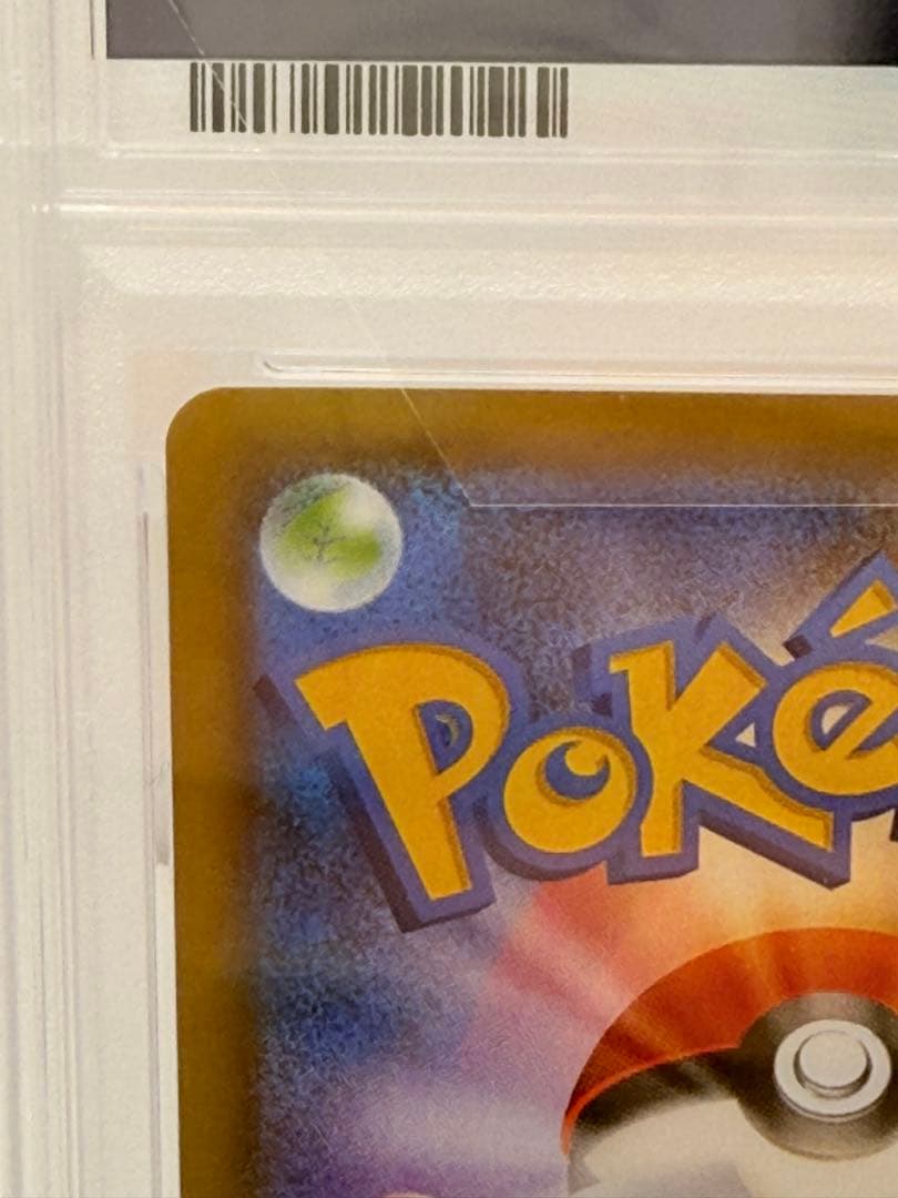 シロナ&カトレア PSA10 美品