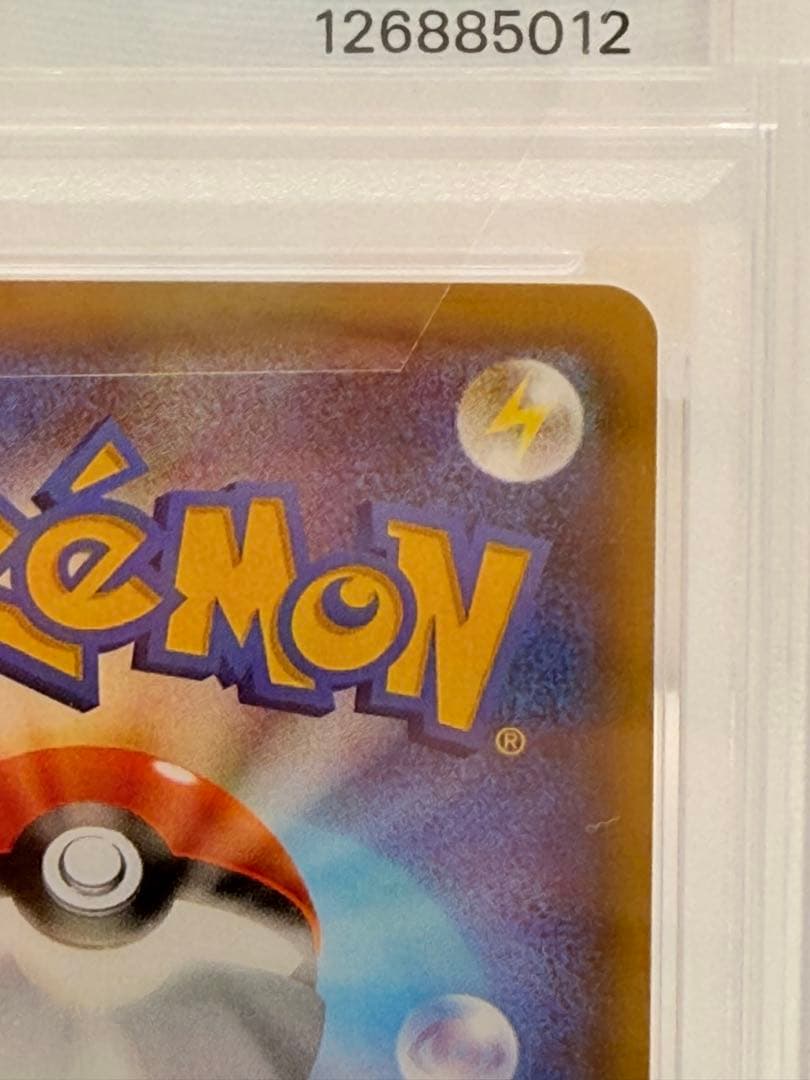 シロナ&カトレア PSA10 美品