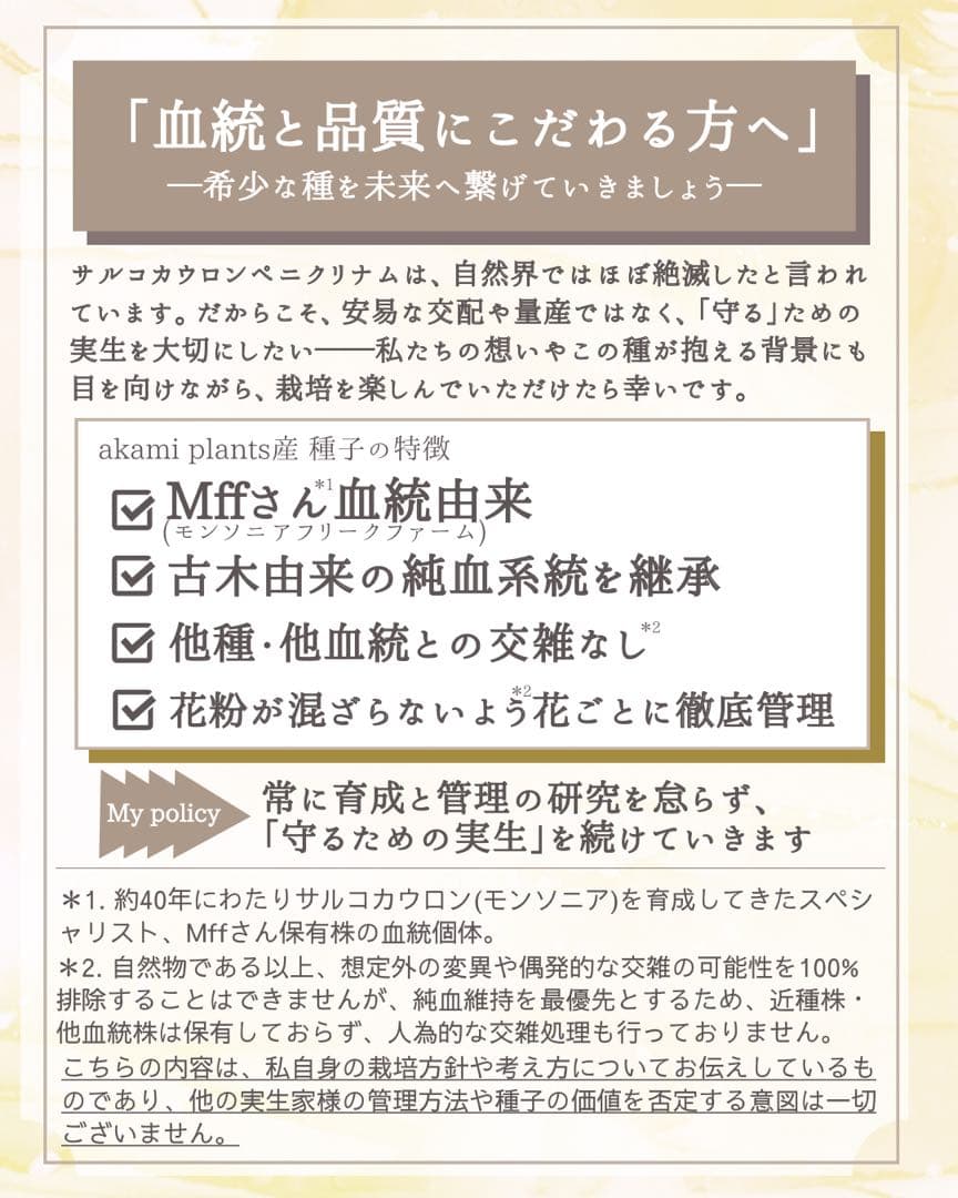 サルコカウロン ペニクリナム 自家採取 種子 5粒 掛け合わせ4通り