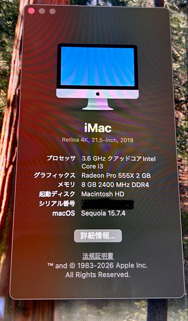 【トラックパッド/キーボード付】iMac 2019 4K 21.5 SSD256