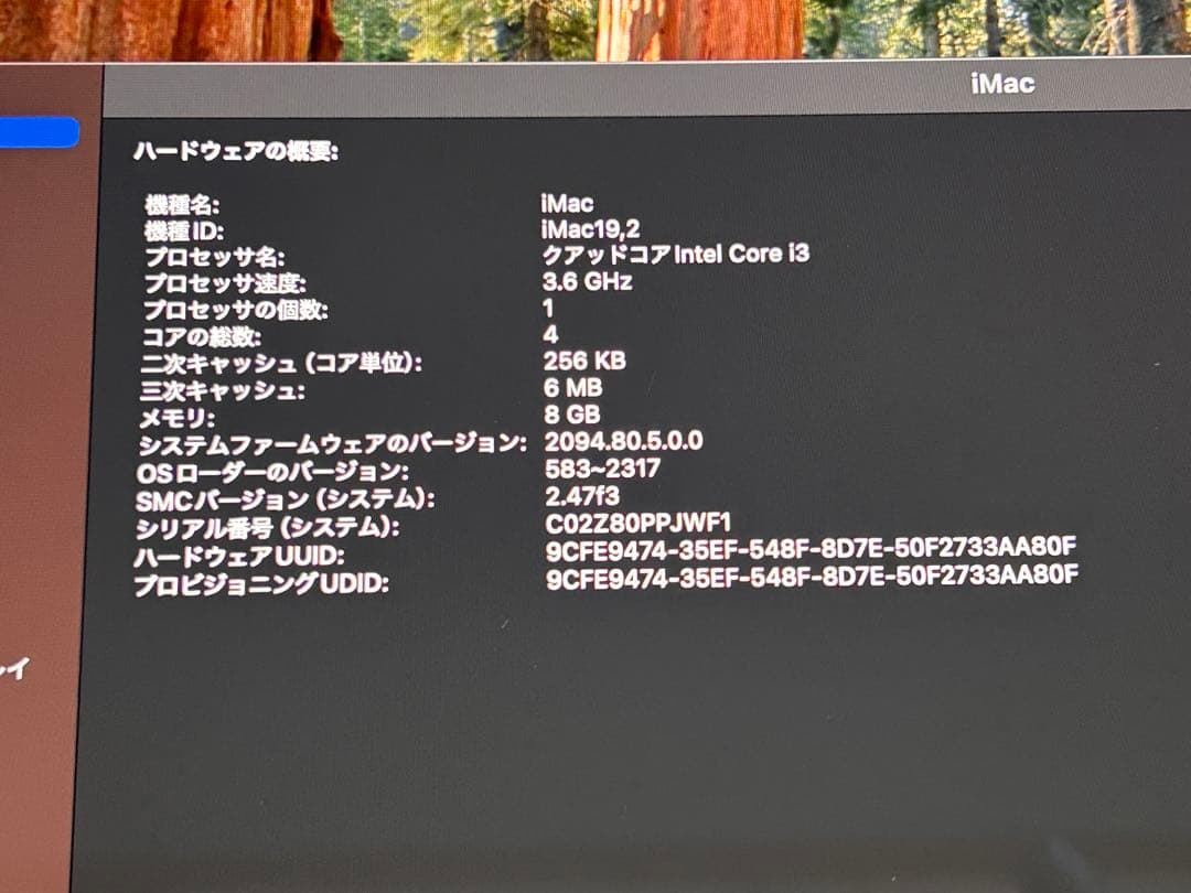 【トラックパッド/キーボード付】iMac 2019 4K 21.5 SSD256