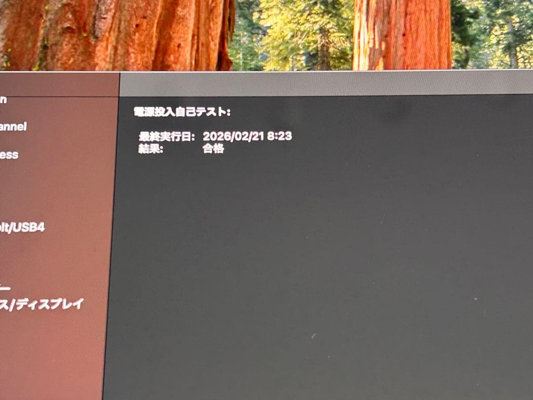 【トラックパッド/キーボード付】iMac 2019 4K 21.5 SSD256