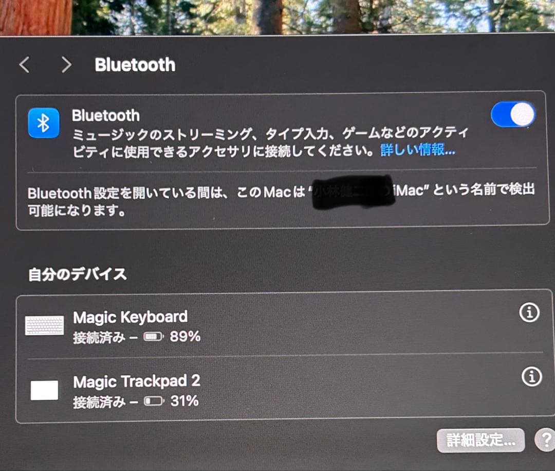 【トラックパッド/キーボード付】iMac 2019 4K 21.5 SSD256