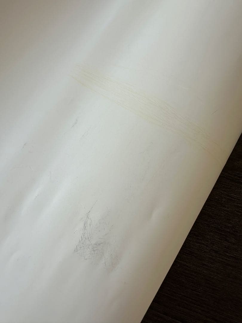 ウナギサヤカ 4周年記念 直筆サイン入り B2サイズ ポスター 51×72cm