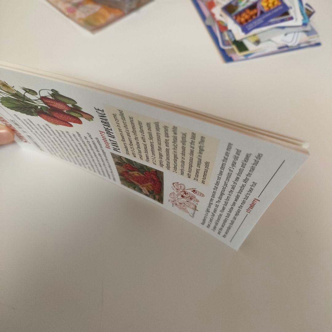 ゆう コラージュ素材 まとめ売り シール 紙もの 海外