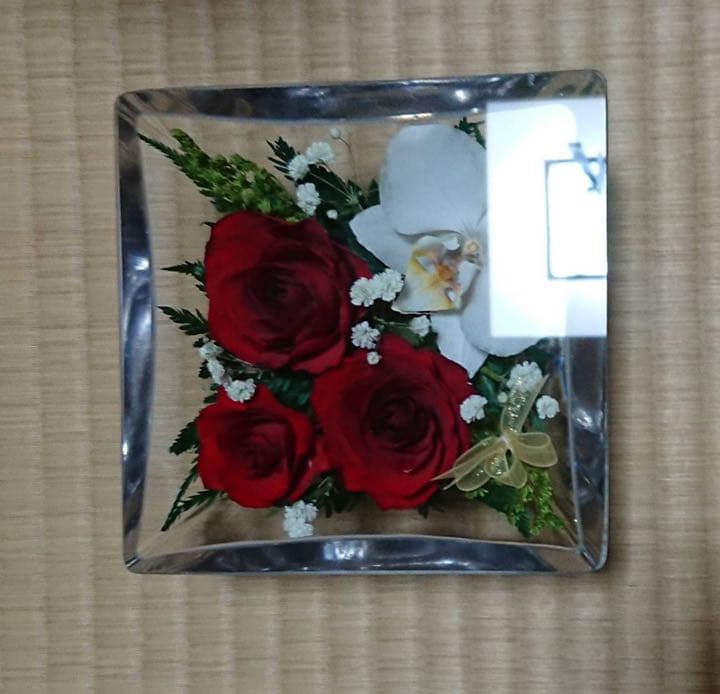 新品、高級ドライフラワーガラスケース入り　定価2万円位プレゼント