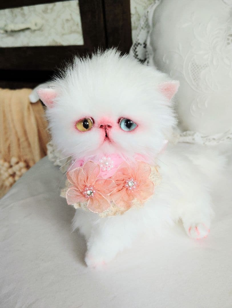 短足ぽってり♡オッドアイ子猫ちゃん♡アートドール♡ぬいぐるみ♡