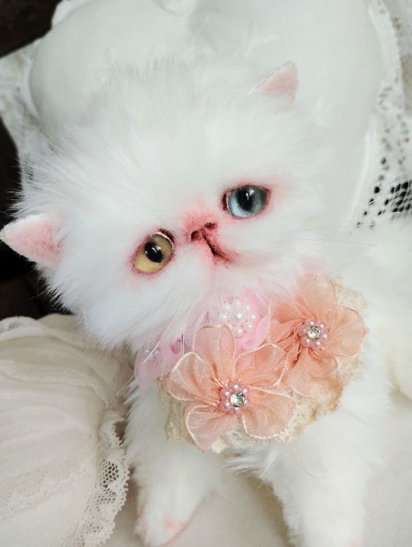 短足ぽってり♡オッドアイ子猫ちゃん♡アートドール♡ぬいぐるみ♡