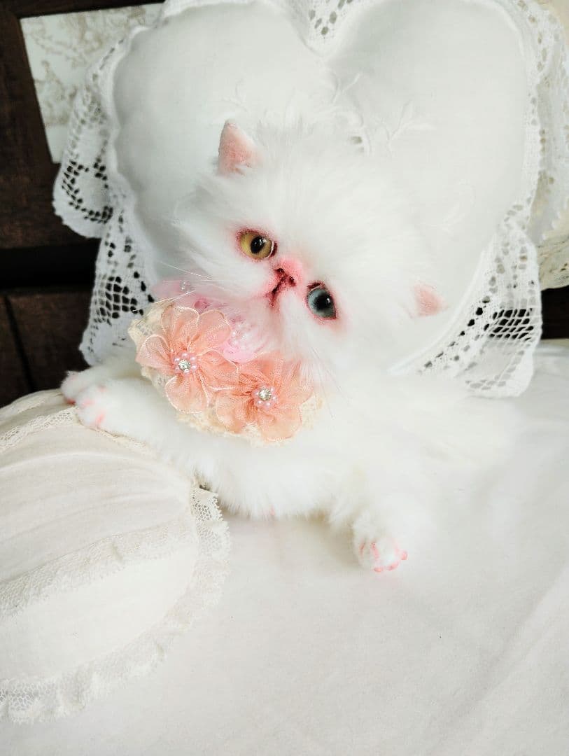 短足ぽってり♡オッドアイ子猫ちゃん♡アートドール♡ぬいぐるみ♡