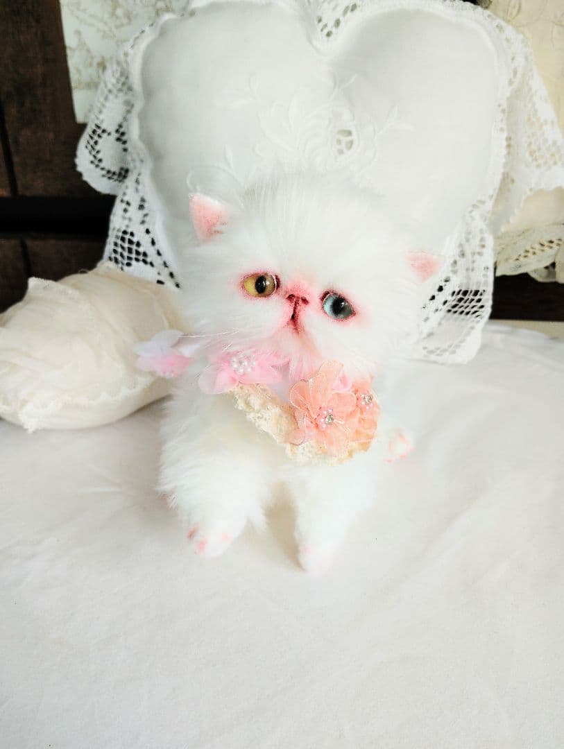 短足ぽってり♡オッドアイ子猫ちゃん♡アートドール♡ぬいぐるみ♡