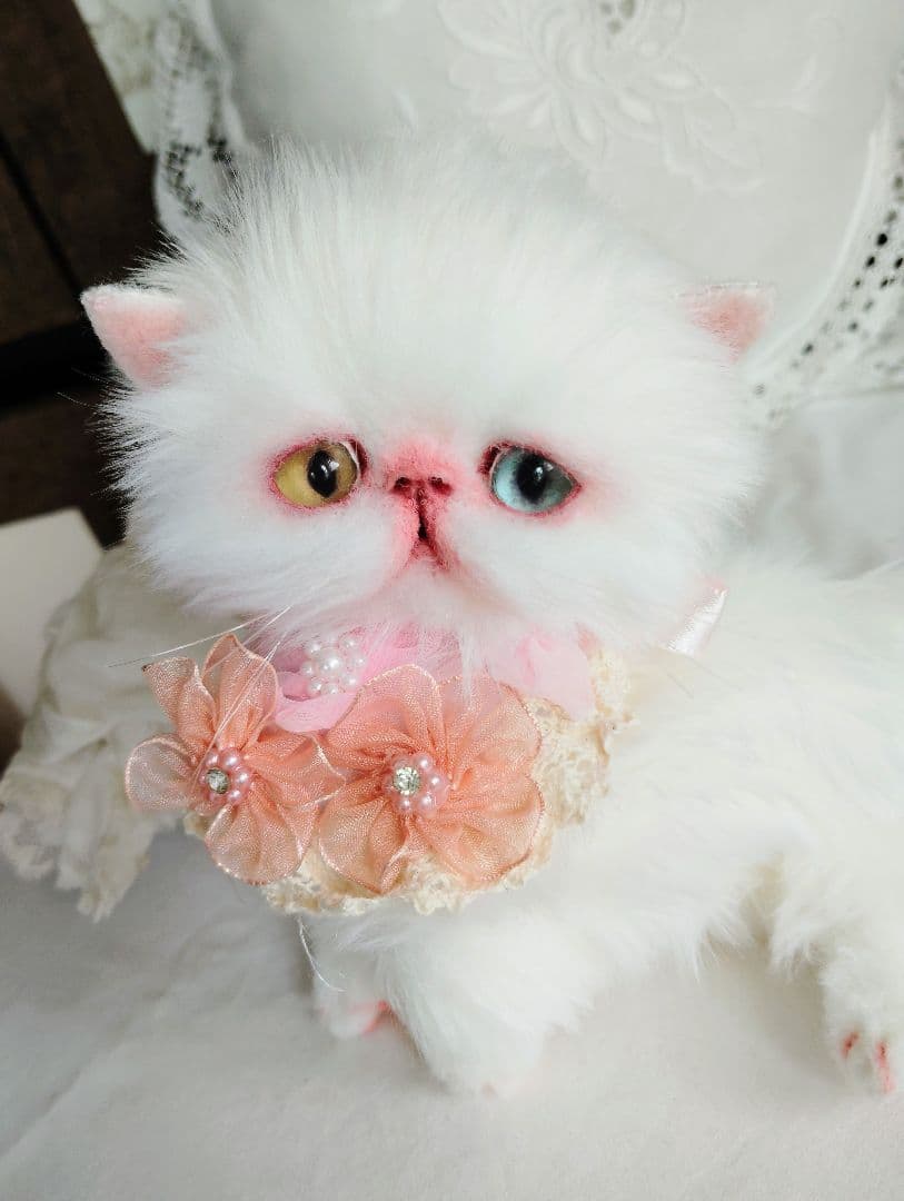 短足ぽってり♡オッドアイ子猫ちゃん♡アートドール♡ぬいぐるみ♡