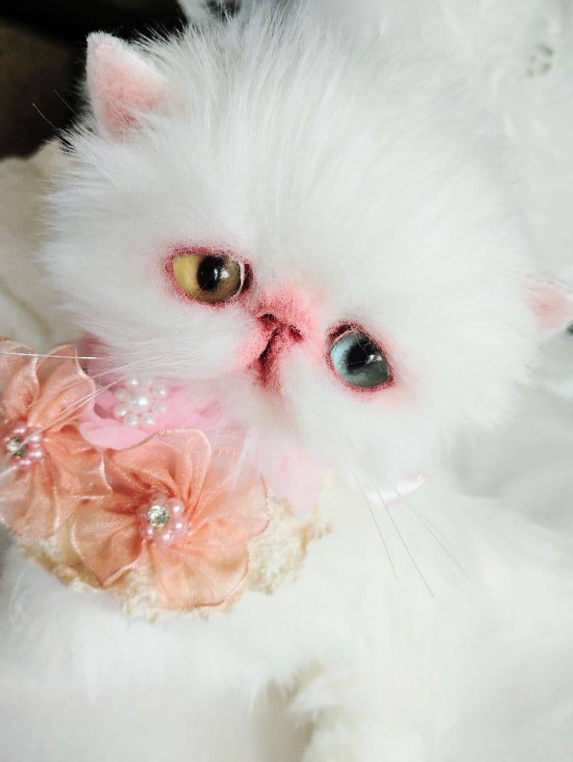 短足ぽってり♡オッドアイ子猫ちゃん♡アートドール♡ぬいぐるみ♡