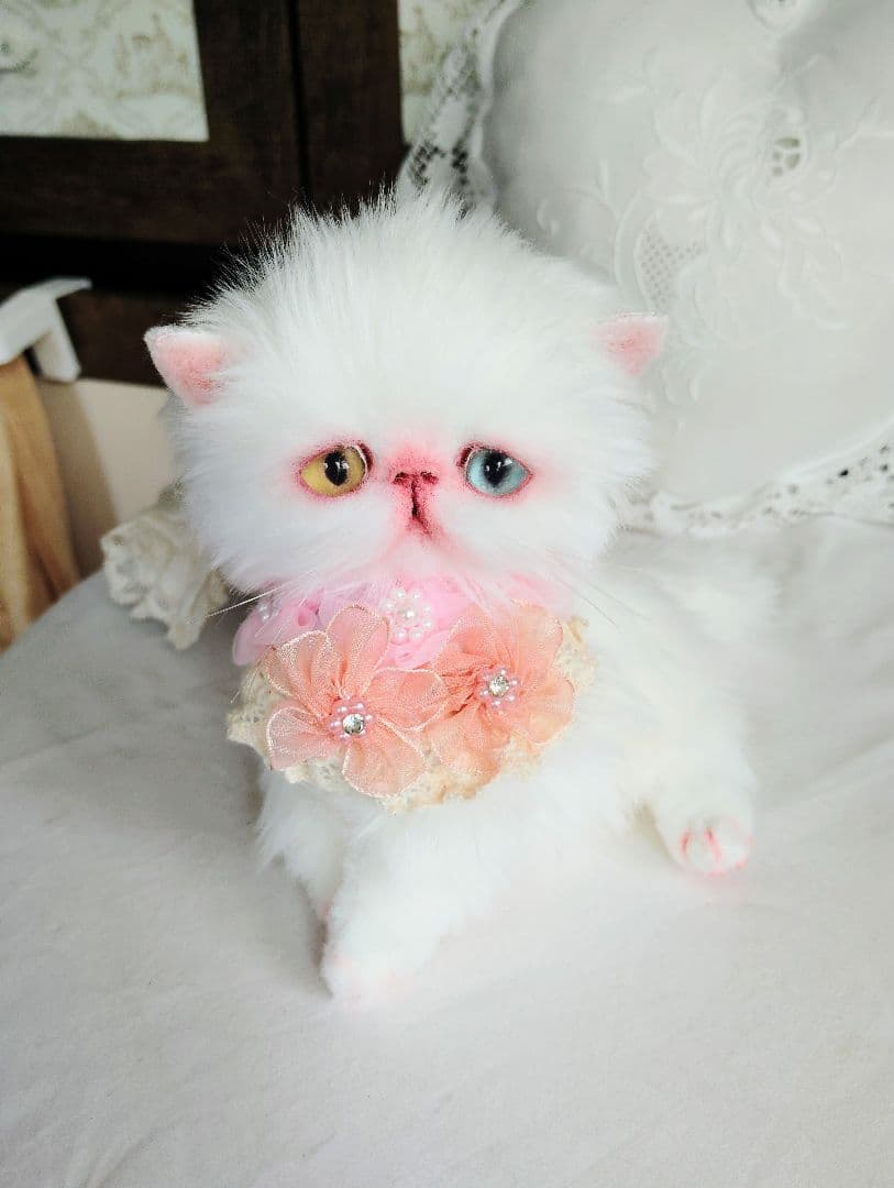 短足ぽってり♡オッドアイ子猫ちゃん♡アートドール♡ぬいぐるみ♡