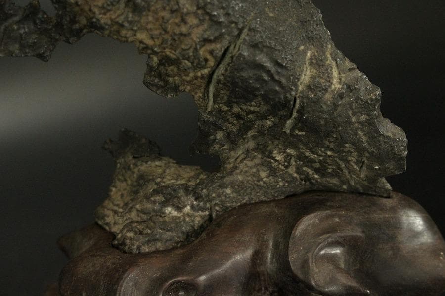 霊璧石 根木台 鑑賞石 中国美術 盆石 太湖石(ZE778)