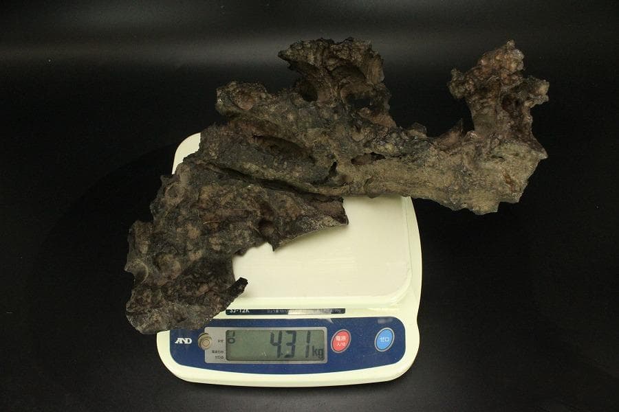 霊璧石 根木台 鑑賞石 中国美術 盆石 太湖石(ZE778)