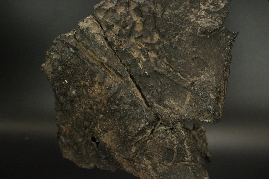 霊璧石 根木台 鑑賞石 中国美術 盆石 太湖石(ZE778)