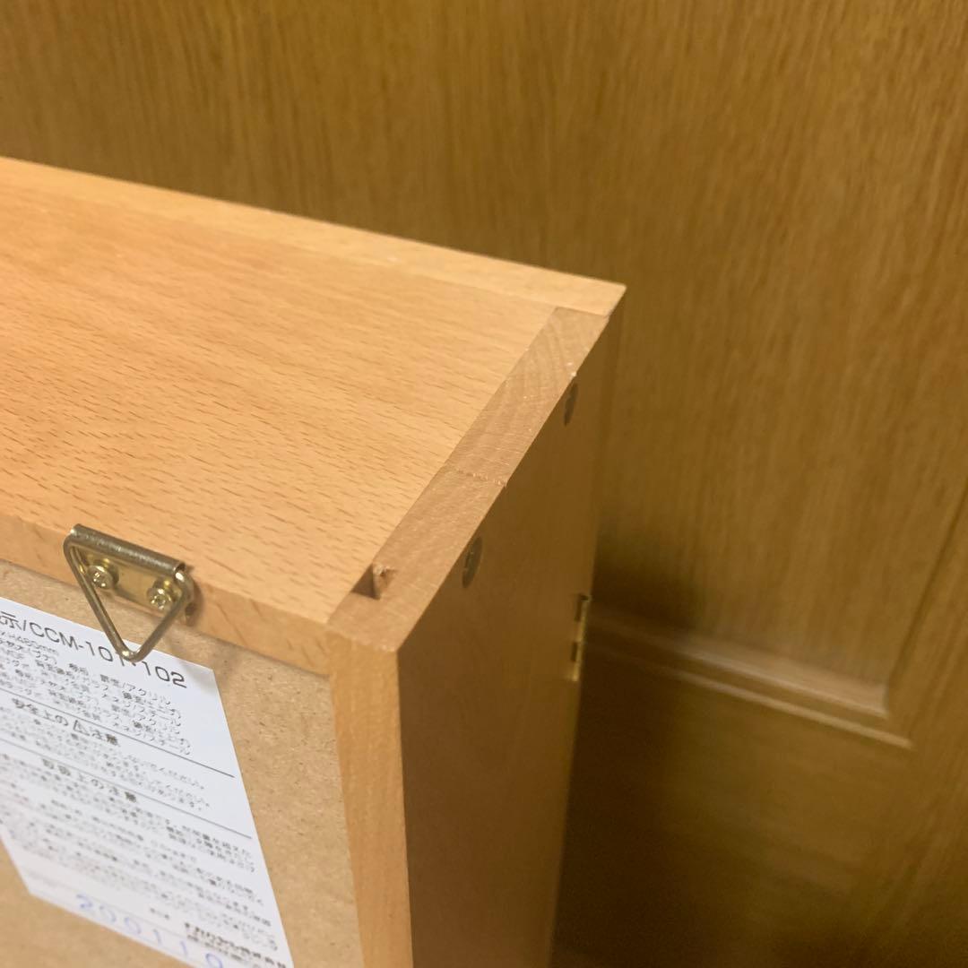 ナカバヤシ　コレクションケース