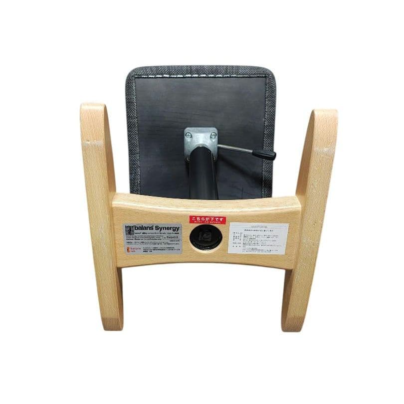 Balans Synergy バランス シナジー スクエアシート 専用カバー付