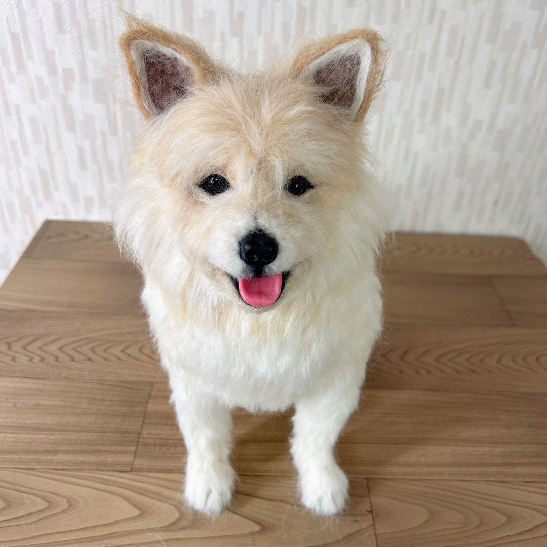 みかん様　オーダー専用　羊毛フェルト　犬　柴犬　マルチーズ　ミックス