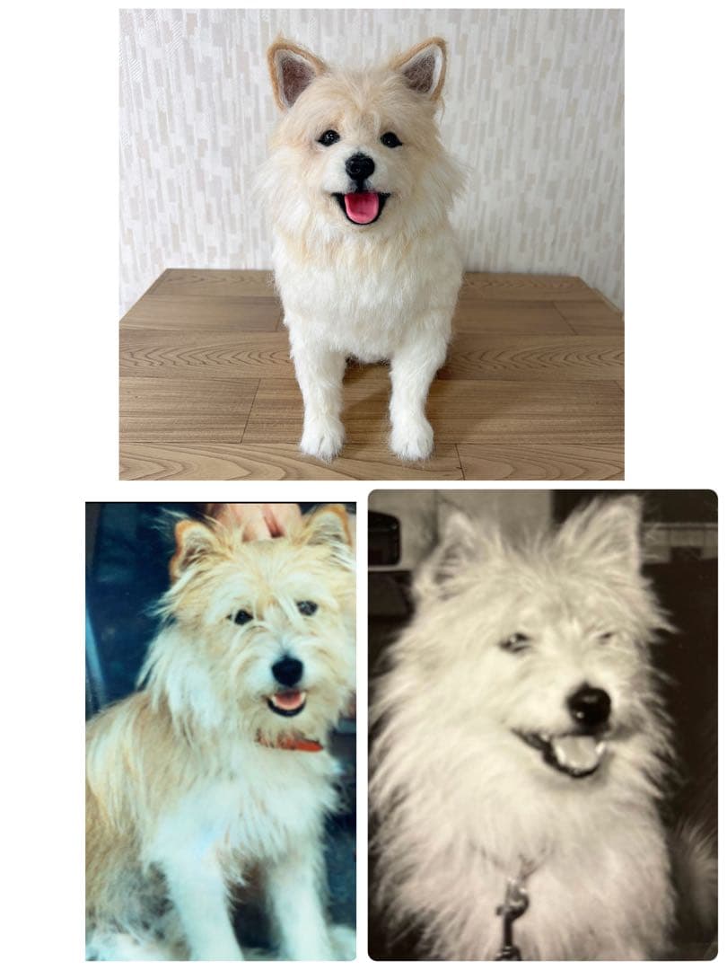 みかん様　オーダー専用　羊毛フェルト　犬　柴犬　マルチーズ　ミックス