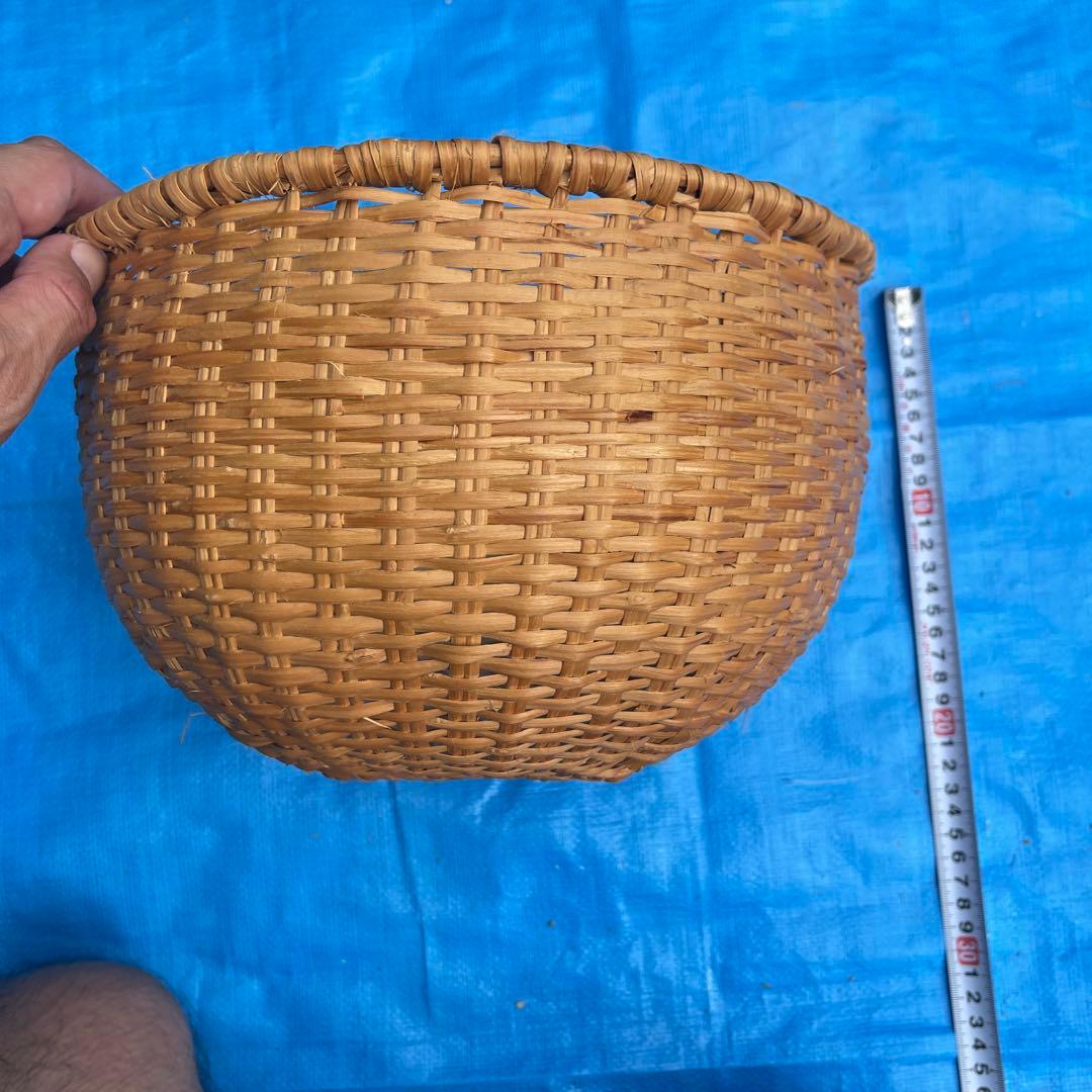 マタタビの籠11番