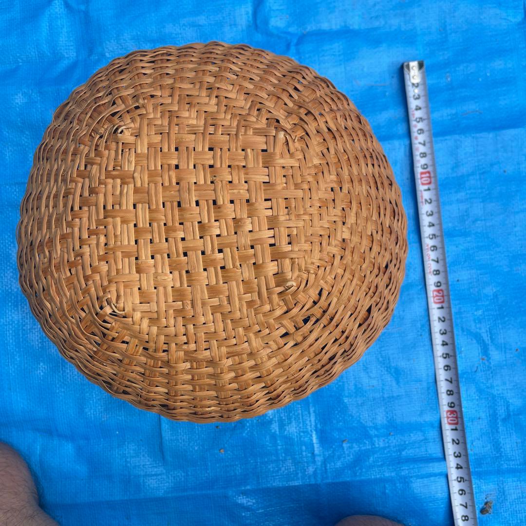 マタタビの籠11番