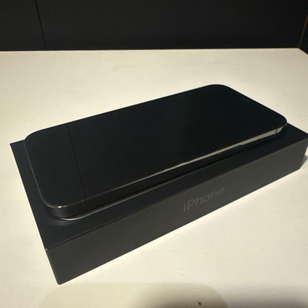 Apple iPhone 12 Pro Max 256GB 本体