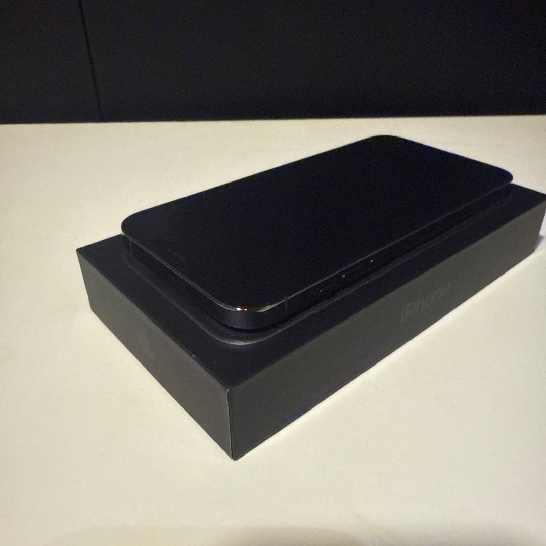 Apple iPhone 12 Pro Max 256GB 本体