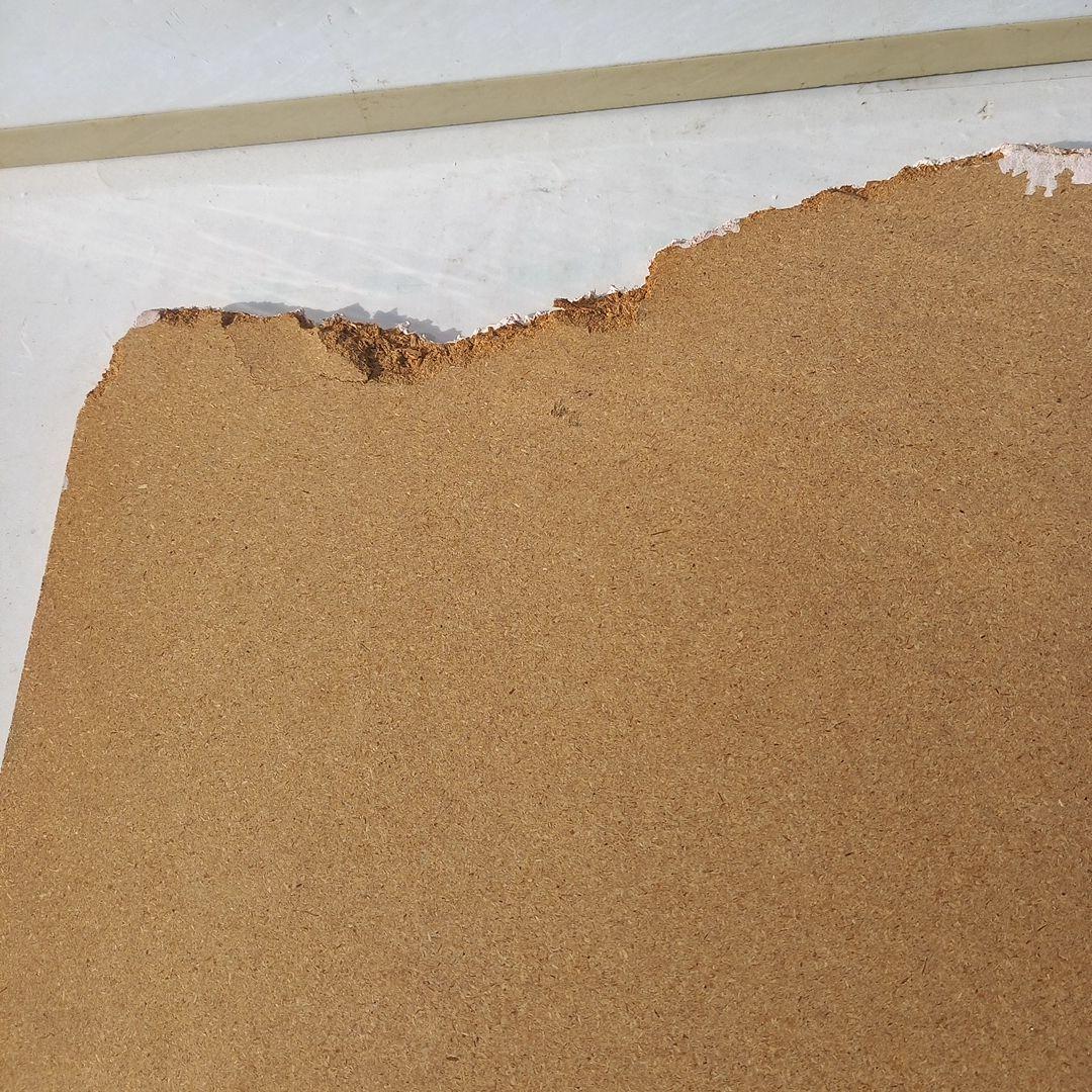 エンボス技法　白鳥のエンボスアー　70×52