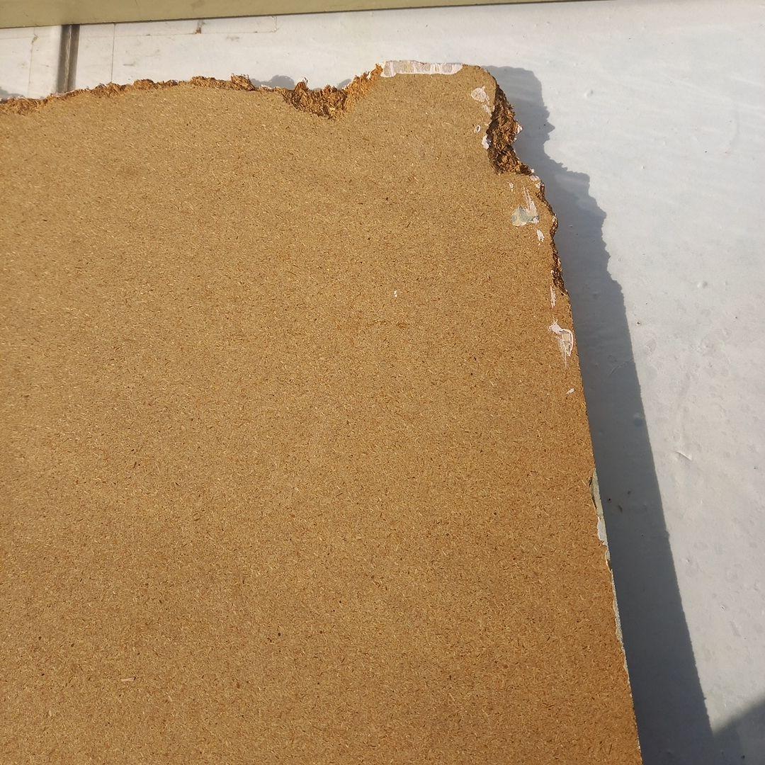 エンボス技法　白鳥のエンボスアー　70×52