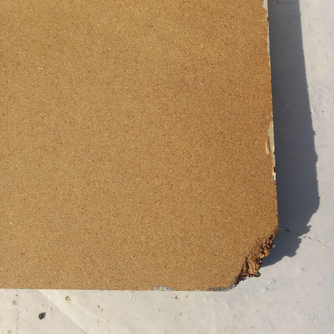 エンボス技法　白鳥のエンボスアー　70×52