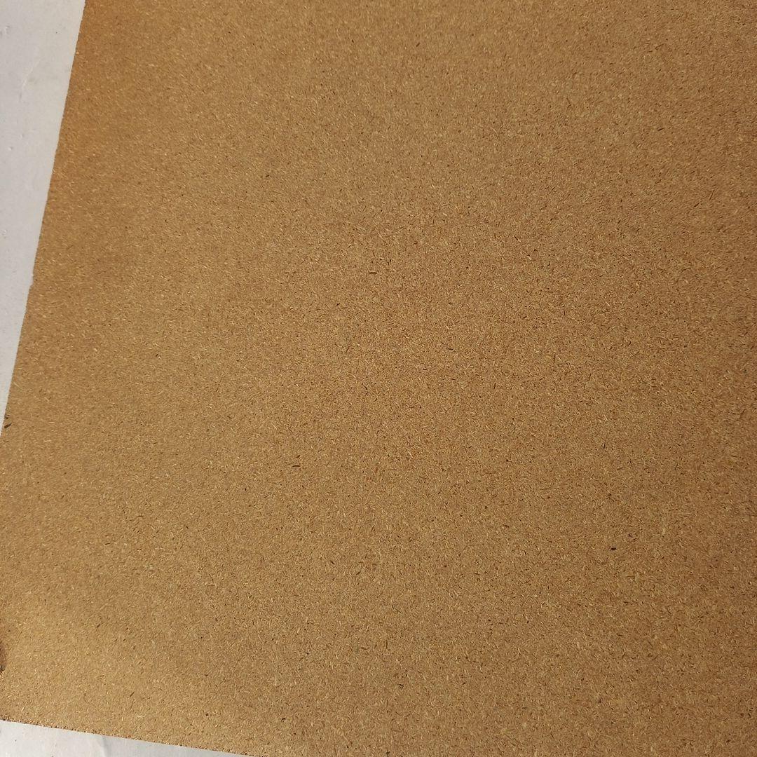 エンボス技法　白鳥のエンボスアー　70×52