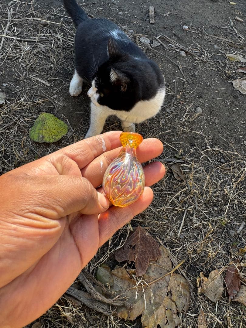 キラキラ琥珀色 one hitter