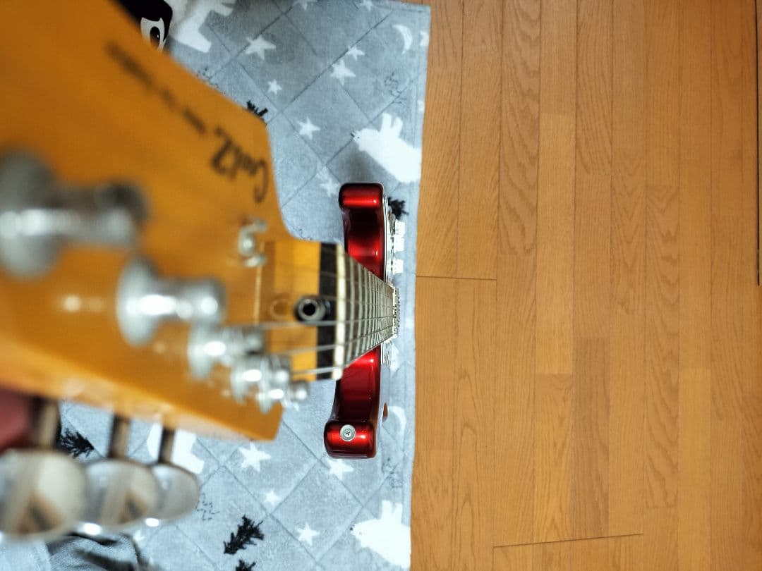 (希少フジゲン製)ZST-M10R(ミディアムスケール)