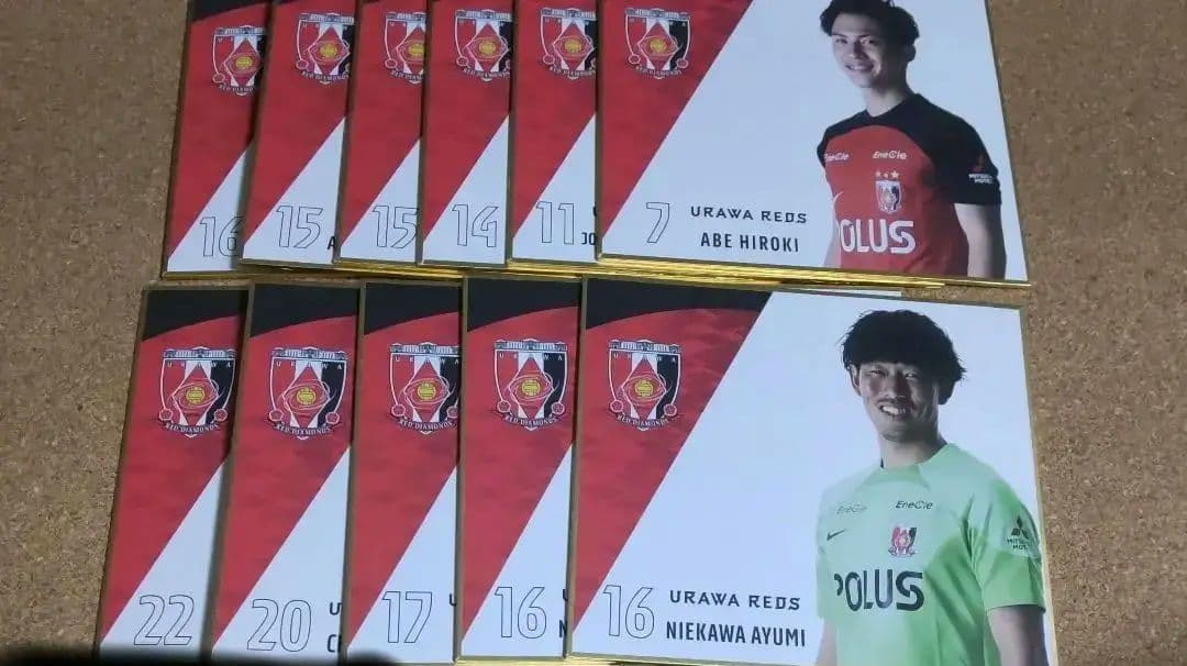 浦和レッズ 直筆サイン入りプレーヤーズミニ色紙 マリウス・ホイブラーテン