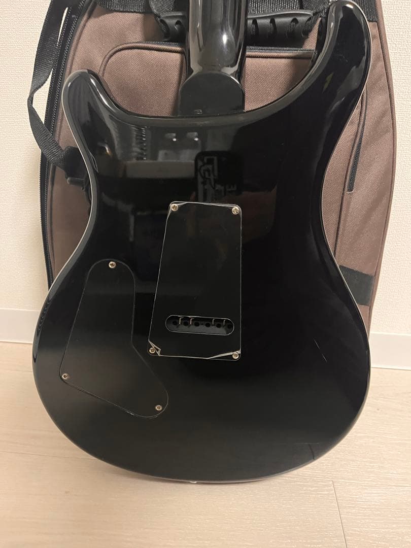 ギター PRS SE Custom 24