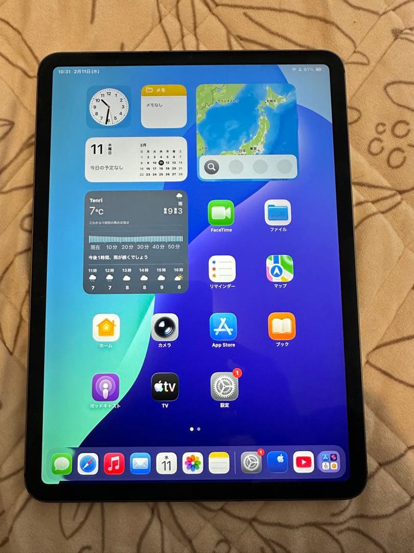 Apple iPad pro 11 第2 256GB sim フリ美品