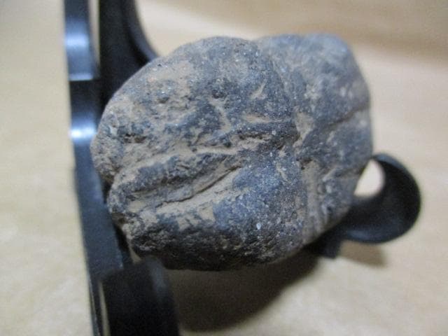 縄文土器　小動物？昆虫？珍品　箱付き　R99-2