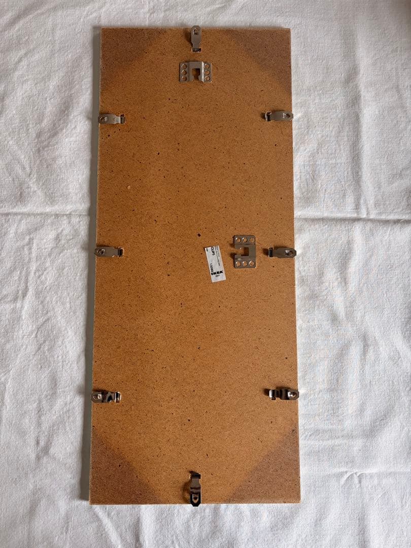 柔らかな雰囲気のボタニカルアート　植物画　ポスター　検）モモナチュラル