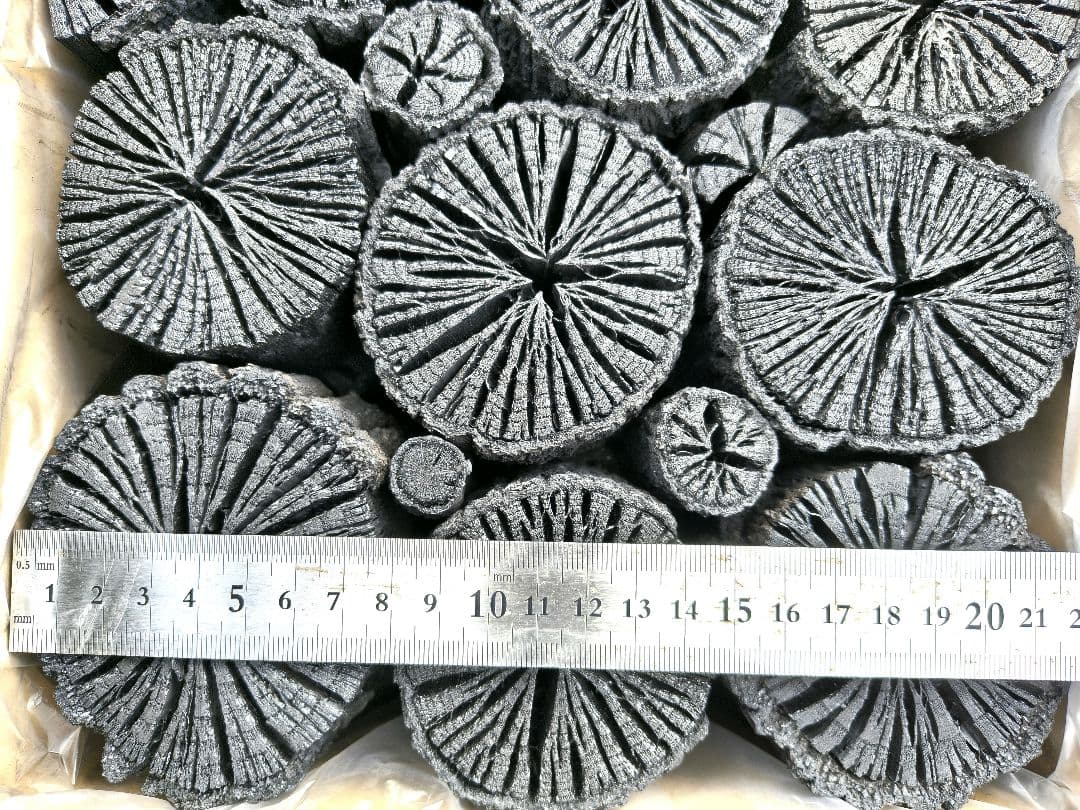 ゆうぞう【 伊予の切炭 】約6kg 菊炭 黒炭 太め×2箱