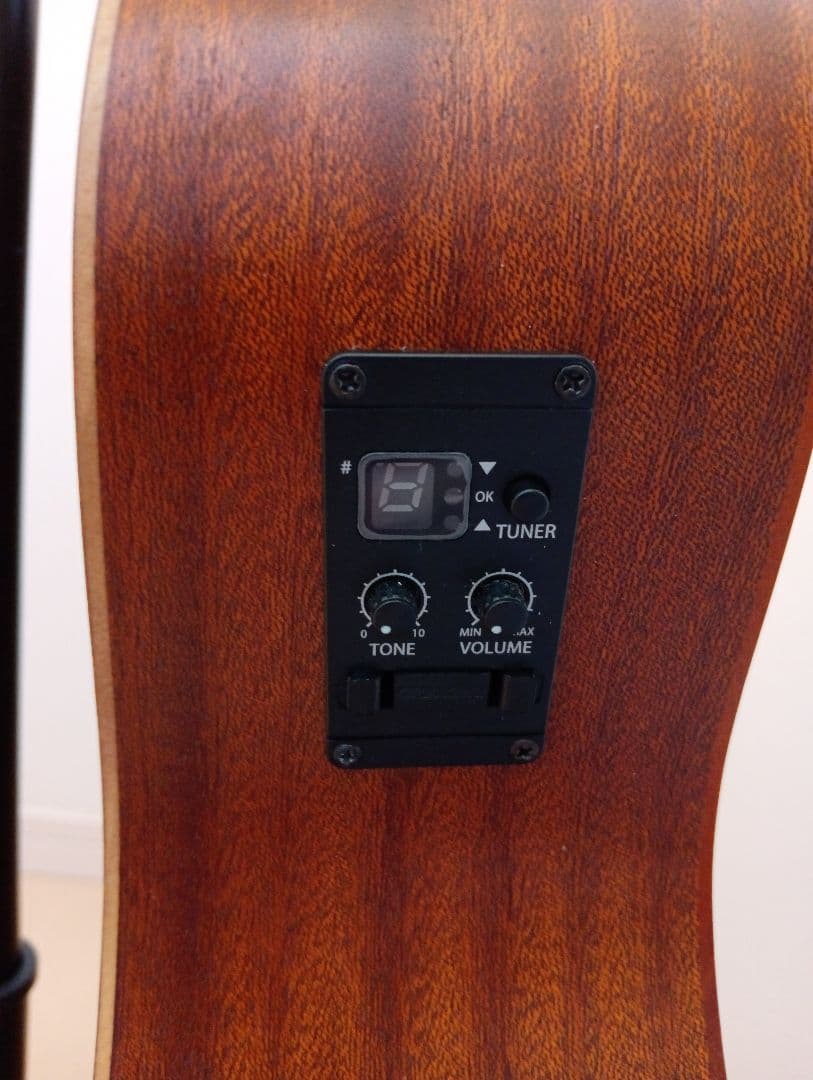 Taylor GS Mini-e Mahogany　pickup付　専用ケース付