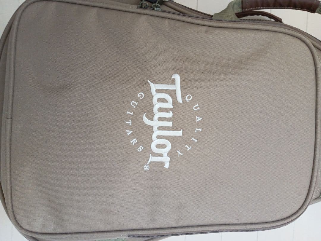 Taylor GS Mini-e Mahogany　pickup付　専用ケース付