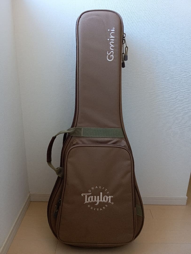 Taylor GS Mini-e Mahogany　pickup付　専用ケース付