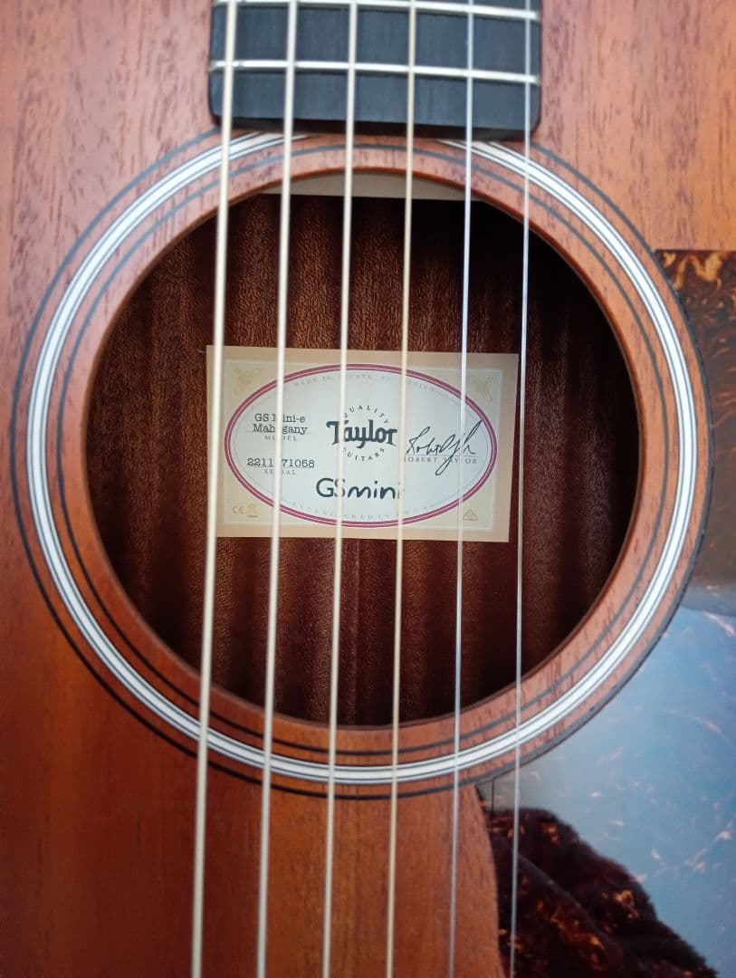 Taylor GS Mini-e Mahogany　pickup付　専用ケース付