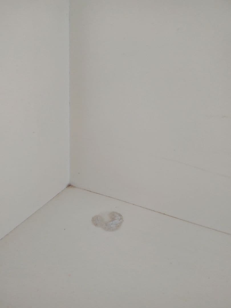 ジェシカマクリントック ロマンスコレクション装飾的オープンシェルフ