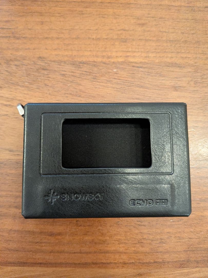 【Fiio】★美品★SKY ECHO MINI／保護ケース付き