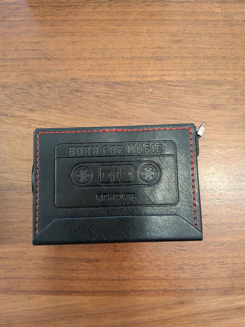 【Fiio】★美品★SKY ECHO MINI／保護ケース付き