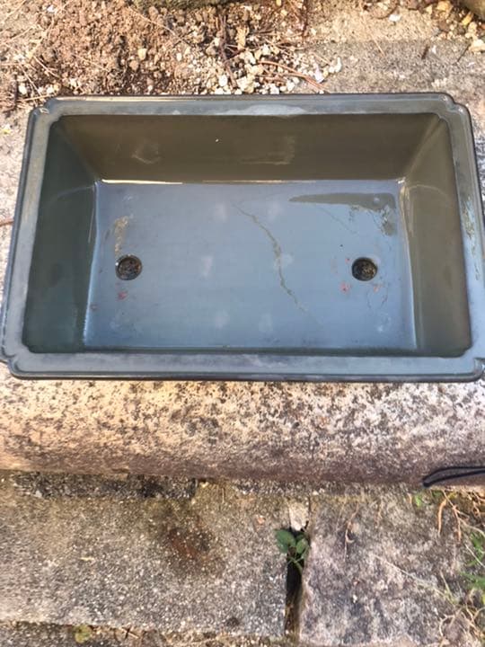 盆栽鉢　時代盆栽鉢水庄園緑泥雲足隅入長方鉢