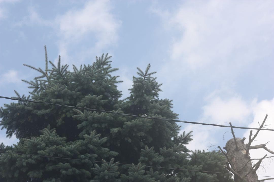 Canon EF 28-70mm F2.8 L USM ズームレンズ